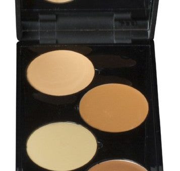 Veido kontūravimo priemonių rinkinys Make Up Studio  Shaping Box Face It Dark PH10950D, 5 spalvos Hot on Sale